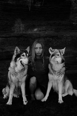 Alpha Wolf Lodge Bali - Ethical Wolf Sanctuary Experience in Bali