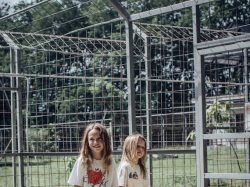 Alpha Wolf Lodge Bali - Ethical Wolf Sanctuary Experience in Bali