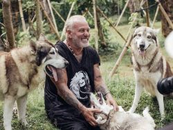 Alpha Wolf Lodge Bali - Ethical Wolf Sanctuary Experience in Bali