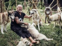 Alpha Wolf Lodge Bali - Ethical Wolf Sanctuary Experience in Bali