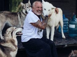 Alpha Wolf Lodge Bali - Ethical Wolf Sanctuary Experience in Bali