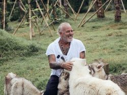 Alpha Wolf Lodge Bali - Ethical Wolf Sanctuary Experience in Bali
