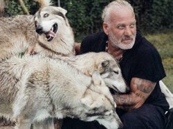Alpha Wolf Lodge Bali - Ethical Wolf Sanctuary Experience in Bali