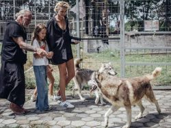 Alpha Wolf Lodge Bali - Ethical Wolf Sanctuary Experience in Bali