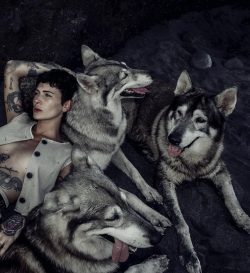Alpha Wolf Lodge Bali - Ethical Wolf Sanctuary Experience in Bali