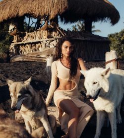 Alpha Wolf Lodge Bali - Ethical Wolf Sanctuary Experience in Bali