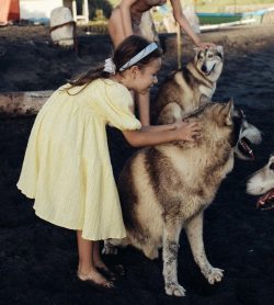 Alpha Wolf Lodge Bali - Ethical Wolf Sanctuary Experience in Bali