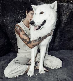 Alpha Wolf Lodge Bali - Ethical Wolf Sanctuary Experience in Bali