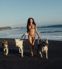 Alpha Wolf Lodge Bali - Ethical Wolf Sanctuary Experience in Bali