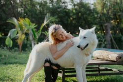 Alpha Wolf Lodge Bali - Ethical Wolf Sanctuary Experience in Bali