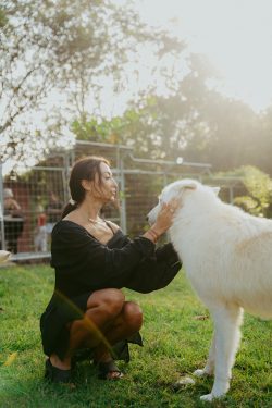 Alpha Wolf Lodge Bali - Ethical Wolf Sanctuary Experience in Bali