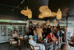 Alpha Wolf Lodge Bali - Ethical Wolf Sanctuary Experience in Bali