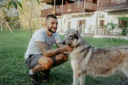Alpha Wolf Lodge Bali - Ethical Wolf Sanctuary Experience in Bali
