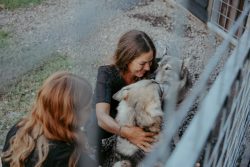 Alpha Wolf Lodge Bali - Ethical Wolf Sanctuary Experience in Bali