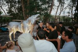 Alpha Wolf Lodge Bali - Ethical Wolf Sanctuary Experience in Bali