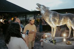 Alpha Wolf Lodge Bali - Ethical Wolf Sanctuary Experience in Bali