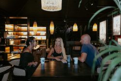 Alpha Wolf Lodge Bali - Ethical Wolf Sanctuary Experience in Bali