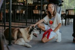 Alpha Wolf Lodge Bali - Ethical Wolf Sanctuary Experience in Bali