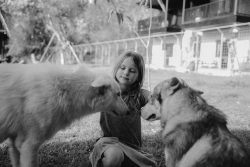 Alpha Wolf Lodge Bali - Ethical Wolf Sanctuary Experience in Bali