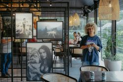 Alpha Wolf Lodge Bali - Ethical Wolf Sanctuary Experience in Bali