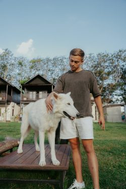 Alpha Wolf Lodge Bali - Ethical Wolf Sanctuary Experience in Bali