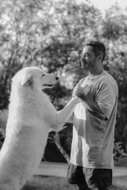Alpha Wolf Lodge Bali - Ethical Wolf Sanctuary Experience in Bali