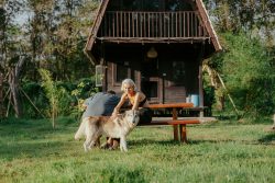 Alpha Wolf Lodge Bali - Ethical Wolf Sanctuary Experience in Bali