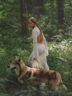 Alpha Wolf Lodge Bali - Ethical Wolf Sanctuary Experience in Bali