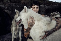 Alpha Wolf Lodge Bali - Ethical Wolf Sanctuary Experience in Bali