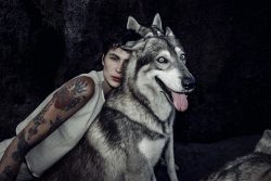 Alpha Wolf Lodge Bali - Ethical Wolf Sanctuary Experience in Bali