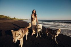 Alpha Wolf Lodge Bali - Ethical Wolf Sanctuary Experience in Bali