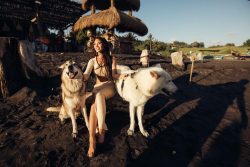 Alpha Wolf Lodge Bali - Ethical Wolf Sanctuary Experience in Bali