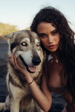 Alpha Wolf Lodge Bali - Ethical Wolf Sanctuary Experience in Bali