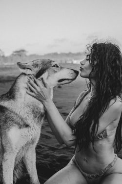 Alpha Wolf Lodge Bali - Ethical Wolf Sanctuary Experience in Bali
